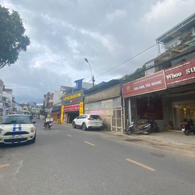 Bán đất, đường Thông Thiên Học, phường 2, thành phố Đà Lạt, 55m2, Thích hợp định cư lâu dài, Đường ô tô lộ giới 14m