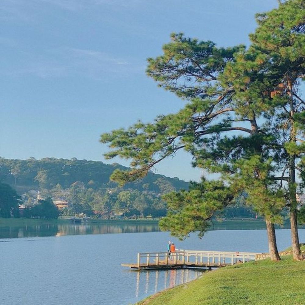 TÌNH HÌNH BẤT ĐỘNG SẢN LÂM ĐỒNG CUỐI NĂM 2022