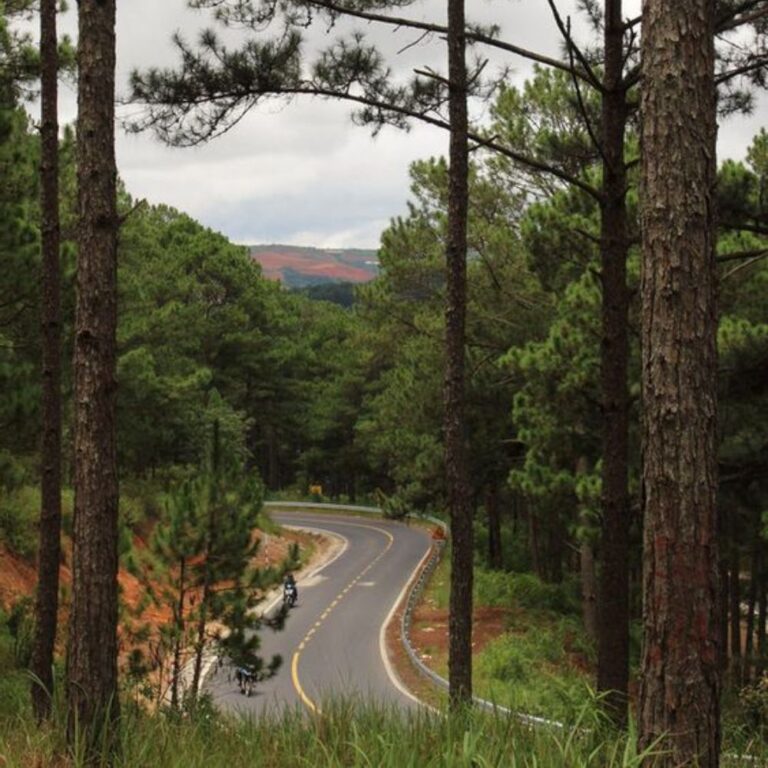 TÌNH HÌNH BẤT ĐỘNG SẢN LÂM ĐỒNG CUỐI NĂM 2022