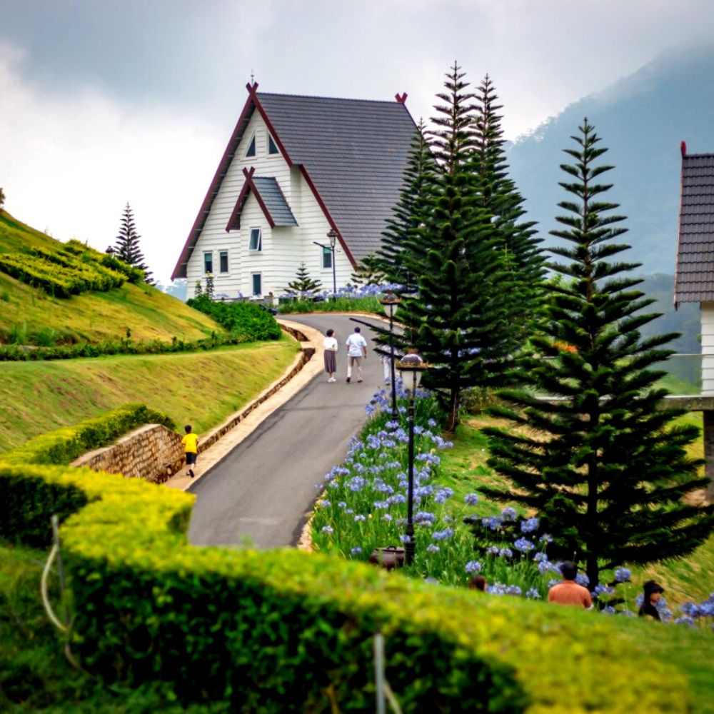 Thi truong BDS Lam Dong quangthinhland.vn 03