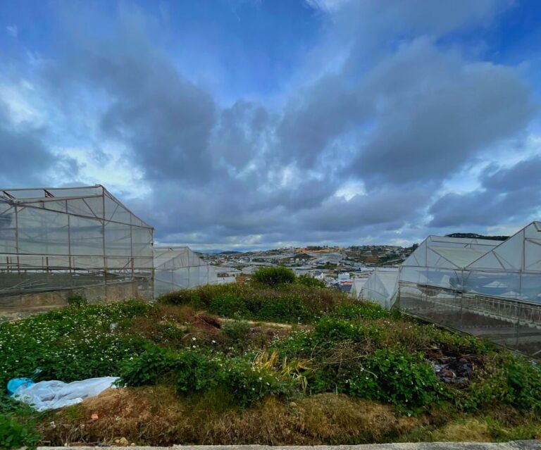 Bán đất, đường Nam Hồ, phường 11, thành phố Đà Lạt, 402m2, Chiều ngang 18m thích hợp thiết kế xây dựng, Đường ô tô đến tận nơi