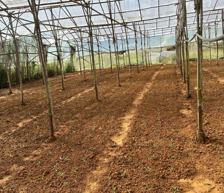 Bán đất, đường An Sơn, phường 4, thành phố Đà Lạt, 1065m2, gần hồ Xuân Hương, Đường ô tô vào tận nơi