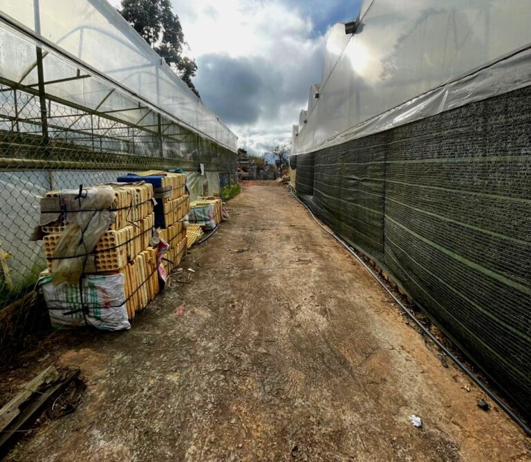 Bán đất, đường Nam Hồ, phường 11, thành phố Đà Lạt, 590m2, Chiều ngang 36m thích hợp thiết kế xây dựng, Đường ô tô lộ giới 3,5m