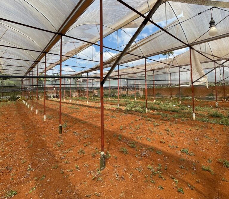 Bán đất, xã Tà Nung, thành phố Đà Lạt, tỉnh Lâm Đồng, 1039m2, trung tâm xã Tà Nung, Đường ô tô lộ giới 8m