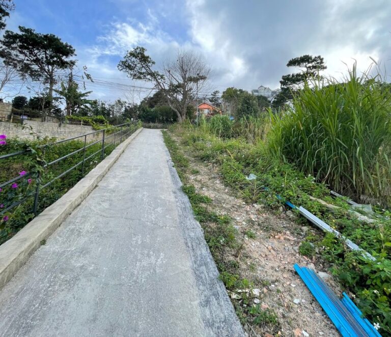 Bán đất, đường Trịnh Hoài Đức, phường 11, thành phố Đà Lạt, 1237.69m2, Chiều ngang 27,3m thích hợp đầu tư kinh doanh, Đường ô tô lộ giới 10m