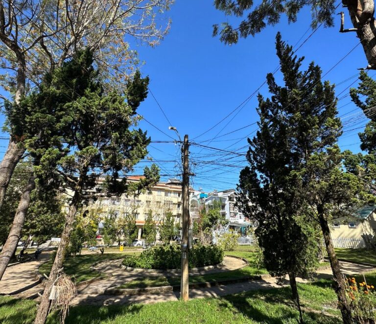 Bán nhà, đường Mai Hoa Thôn, phường 2, thành phố Đà Lạt, 79.6m2, bất động sản trung tâm phường 2, Đường ô tô vào tận nơi