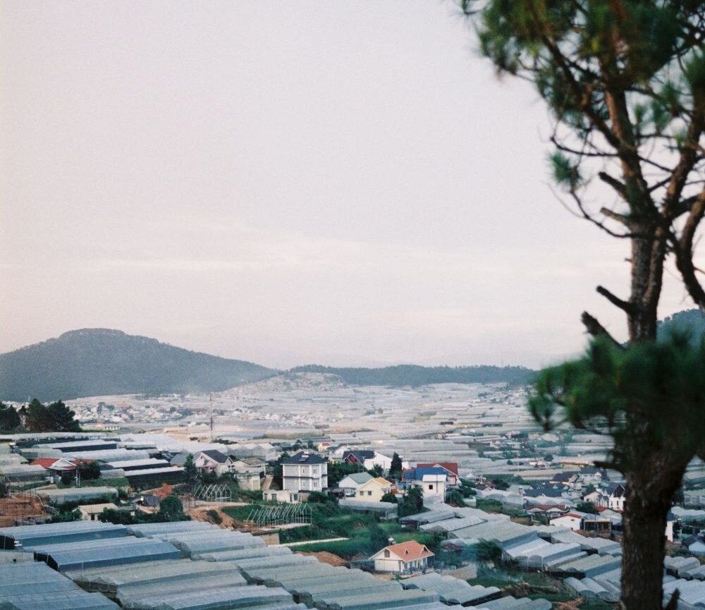 Tình hình BĐS Lạc Dương Đà Lạt năm 2023