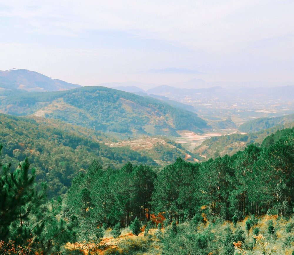 Bat dong san nghi duong Lac Duong quangthinhland.vn 03 e1738720421753