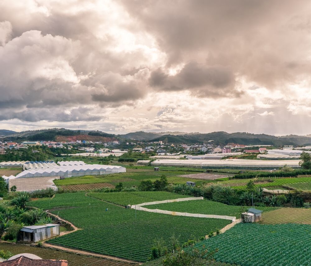 Bat dong san nghi duong Lac Duong quangthinhland.vn 05 e1738720456137