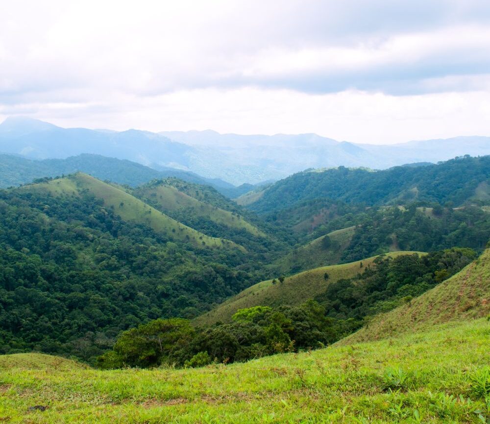 ancgroup.vn BĐS LÂM ĐỒNG ĐÃ TRẢI QUA GIAI ĐOẠN PHÂN LÔ BÁN ĐẤT NỀN TRÀN LAN