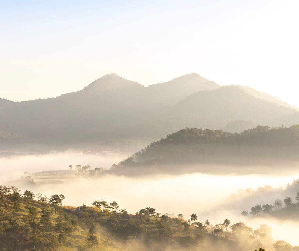BĐS LÂM ĐỒNG ĐÃ TRẢI QUA GIAI ĐOẠN PHÂN LÔ BÁN ĐẤT NỀN TRÀN LAN 1 Giai doan phan lo ban nen quangthinhland.vn 02 e1738669642351