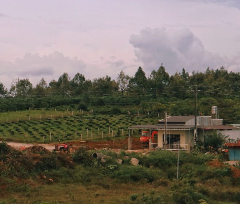 BĐS LÂM ĐỒNG ĐÃ TRẢI QUA GIAI ĐOẠN PHÂN LÔ BÁN ĐẤT NỀN TRÀN LAN