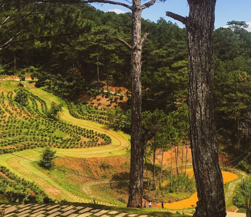 ancgroup.vn Kinh doanh khach san Resort Da Lat quangthinhland.vn 03 e1738719909193