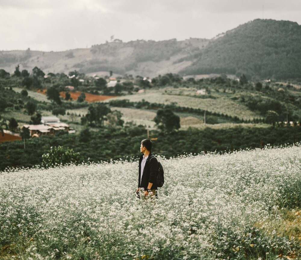 ancgroup.vn Kinh doanh khach san Resort Da Lat quangthinhland.vn 06 e1738720093772