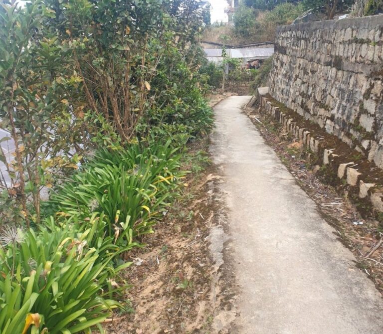 Bán đất, đường Sào Nam, phường 11, thành phố Đà Lạt, 2676.7m2, Bất động sản giá tốt nhất khu vực, Đường ô tô vào tận nơi