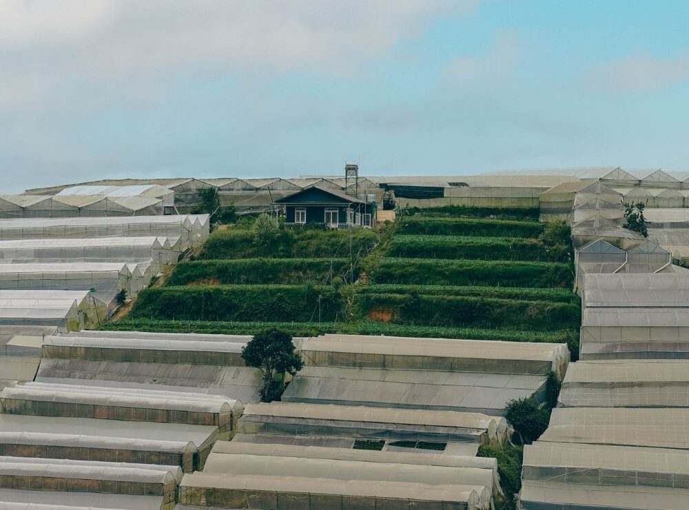 THỊ TRƯỜNG BĐS GIÁ TỐT TẠI THÀNH PHỐ ĐÀ LẠT 