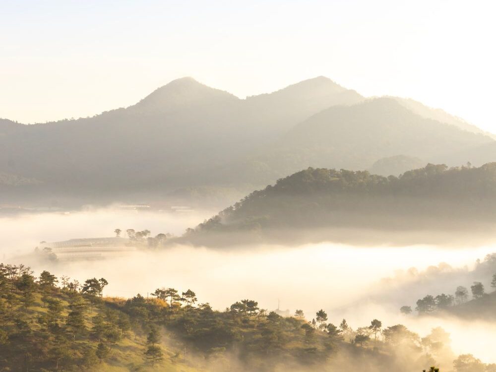 THỊ TRƯỜNG BĐS GIÁ TỐT TẠI THÀNH PHỐ ĐÀ LẠT 