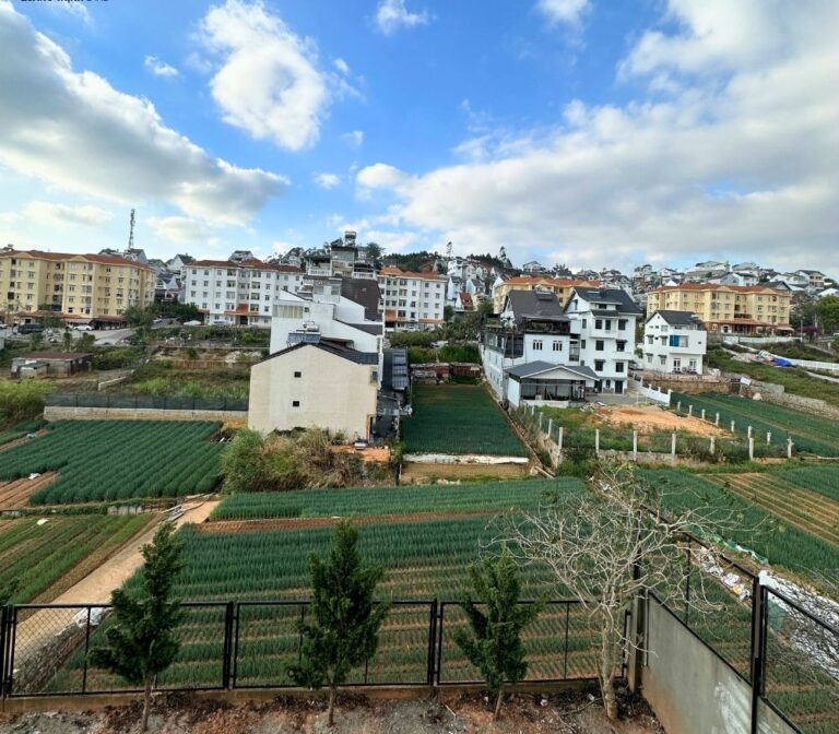 Bán biệt thự, đường Kim Đồng, phường 6, thành phố Đà Lạt, 339.26m2, bất động sản 2 mặt tiền giá đầu tư, Đường ô tô tận nơi