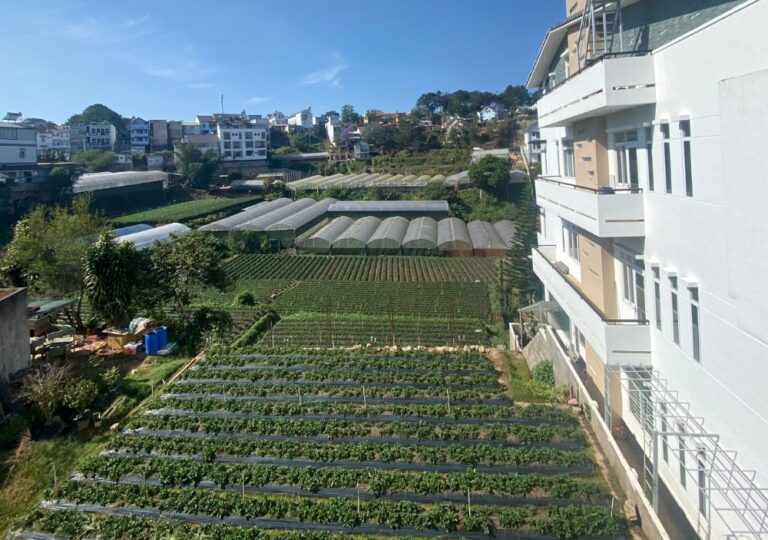 Bán đất, đường Nguyễn Hữu Cảnh, Phường 8, Thành phố Đà Lạt, 426.59m2, Bất động sản nghỉ dưỡng giá đầu tư, Mặt tiền đường Nguyễn Hữu Cảnh 10m