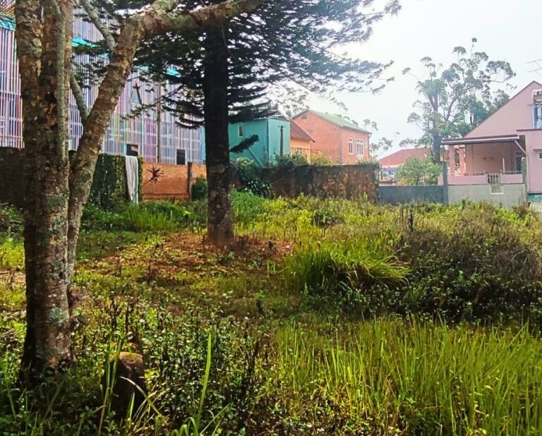 Bán đất, đường Trần Bình Trọng, phường 6, thành phố Đà Lạt, 1580m2, Bất động sản đầu tư Đà Lạt, Đường ô tô lộ giới 16m