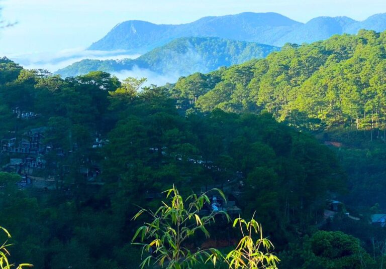 Bán nhà, đường Hoàng Hoa Thám, phường 10, thành phố Đà Lạt, 500m2, Bất động sản đầu tư Đà Lạt, Đường ô tô lộ giới 10m