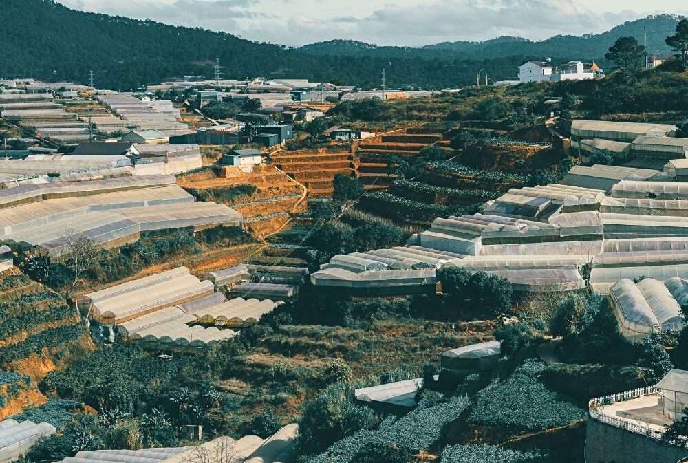 Thi truong dat nen Da Lat quangthinhland.vn 02 e1738668015995