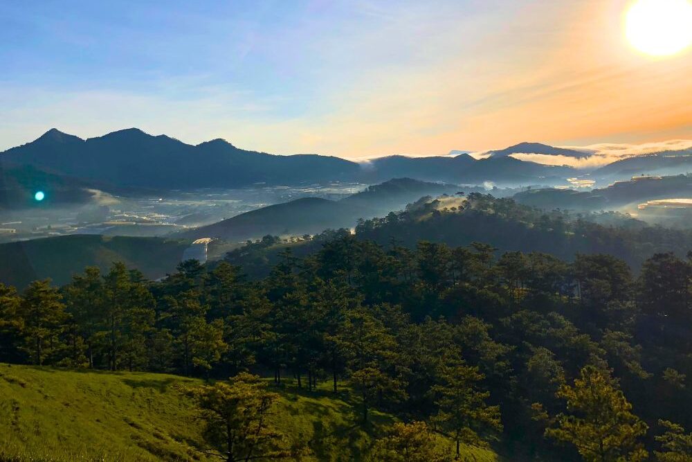 Thi truong dat nen Da Lat quangthinhland.vn 05 e1738668030471