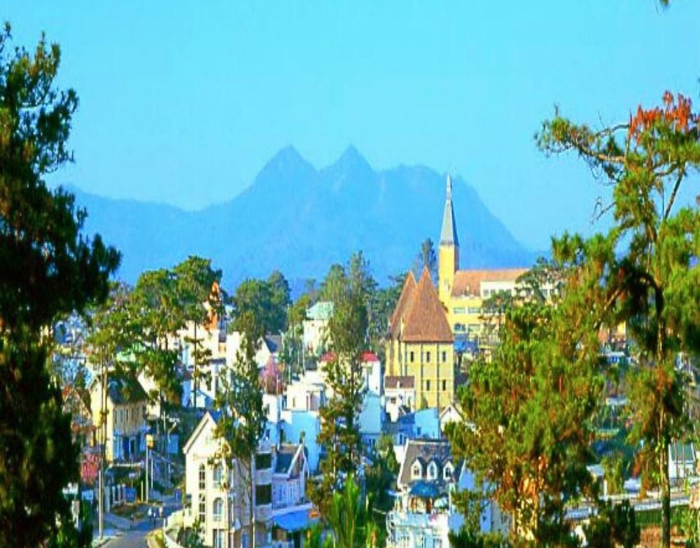 THỊ TRƯỜNG NHÀ THUÊ ĐÀ LẠT - CHẠM ĐẾN CƠ HỘI KHỞI NGHIỆP CHO KHÁCH HÀNG 2 Thi truong nha thue Da Lat quangthinhland.vn 04 e1738667754590