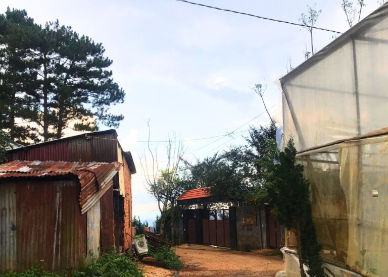 Bán đất, đường nội bộ xã, xã Tà Nung, thành phố Đà Lạt, 4622m2, Bất động sản đầu tư Đà Lạt, Đường ô tô lộ giới 4,4m