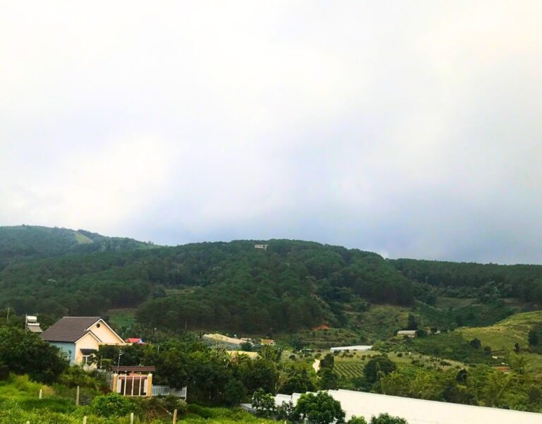 Bán đất, xã Tà Nung, thành phố Đà Lạt, 603m2, Bất động sản đầu tư Đà Lạt, Đường ô tô lộ giới 4,2m