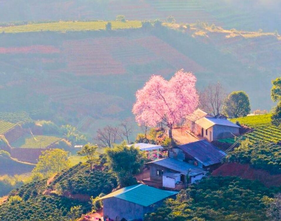 NHỮNG QUY ĐỊNH MỚI VỀ ĐẦU TƯ VÀ QUẢN LÝ HOẠT ĐỘNG DU LỊCH CANH NÔNG TẠI LÂM ĐỒNG