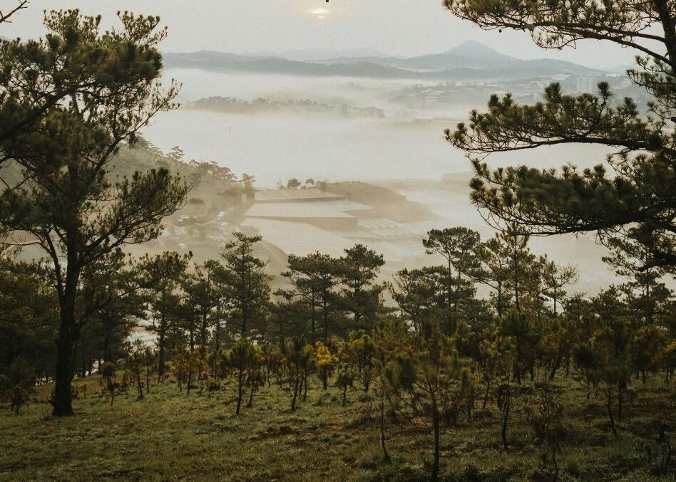 NHỮNG QUY ĐỊNH MỚI VỀ ĐẦU TƯ VÀ QUẢN LÝ HOẠT ĐỘNG DU LỊCH CANH NÔNG TẠI LÂM ĐỒNG