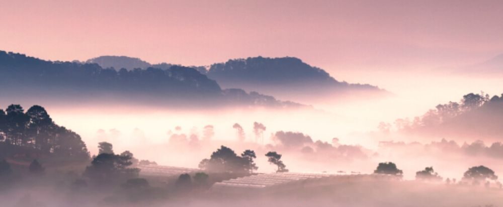 Du lich canh nong Lam Dong quangthinhland.vn 04 e1738665200786