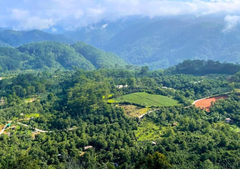 LÂM ĐỒNG LẬP NHIỀU QUY HOẠCH QUAN TRỌNG, TÁC ĐỘNG LỚN ĐẾN THỊ TRƯỜNG BĐS LÂM ĐỒNG