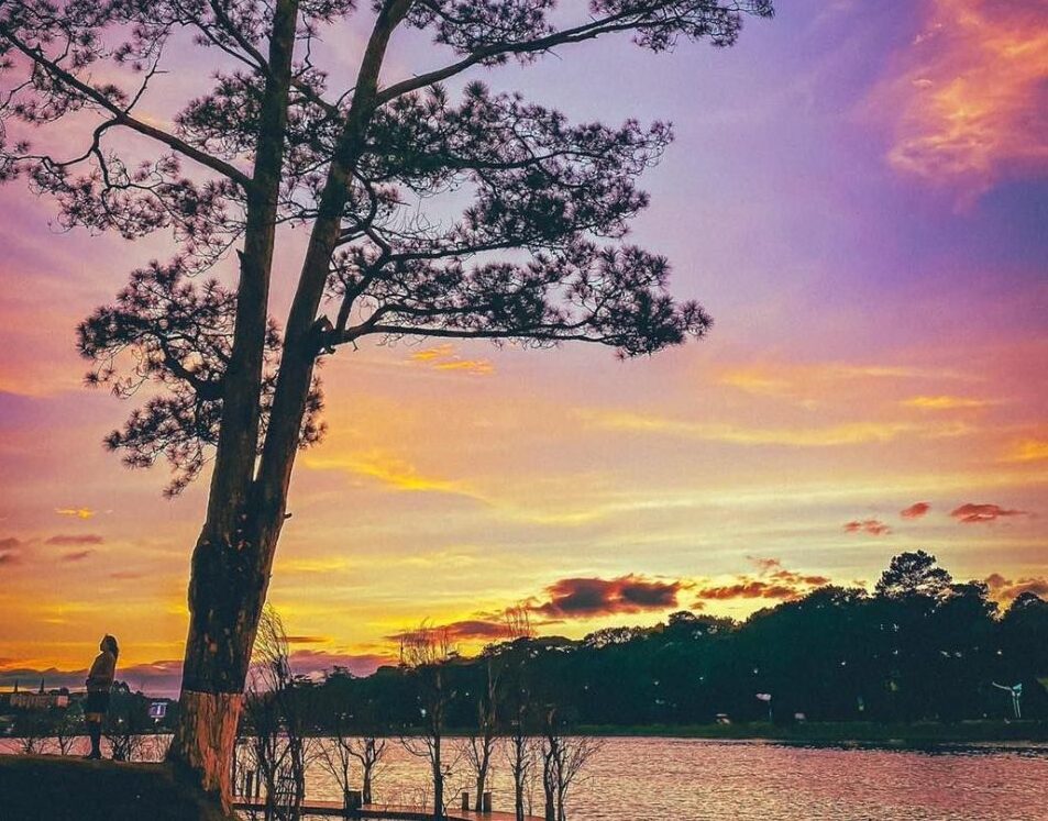 ancgroup.vn LÂM ĐỒNG “NỚI LỎNG” CÁC ĐIỀU KIỆN TÁCH THỬA