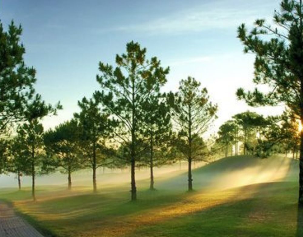 LÂM ĐỒNG “NỚI LỎNG” CÁC ĐIỀU KIỆN TÁCH THỬA ĐẤT 2 Noi long tach thua Da Lat quangthinhland.vn 04 e1738663171644