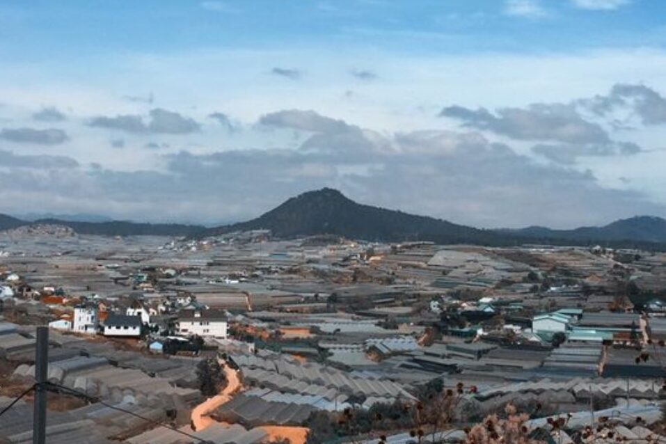 TIN VUI CHO HOẠT ĐỘNG TÁCH THỬA ĐẤT TẠI LÂM ĐỒNG