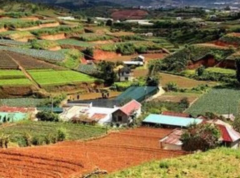 TIN VUI CHO HOẠT ĐỘNG TÁCH THỬA ĐẤT TẠI LÂM ĐỒNG