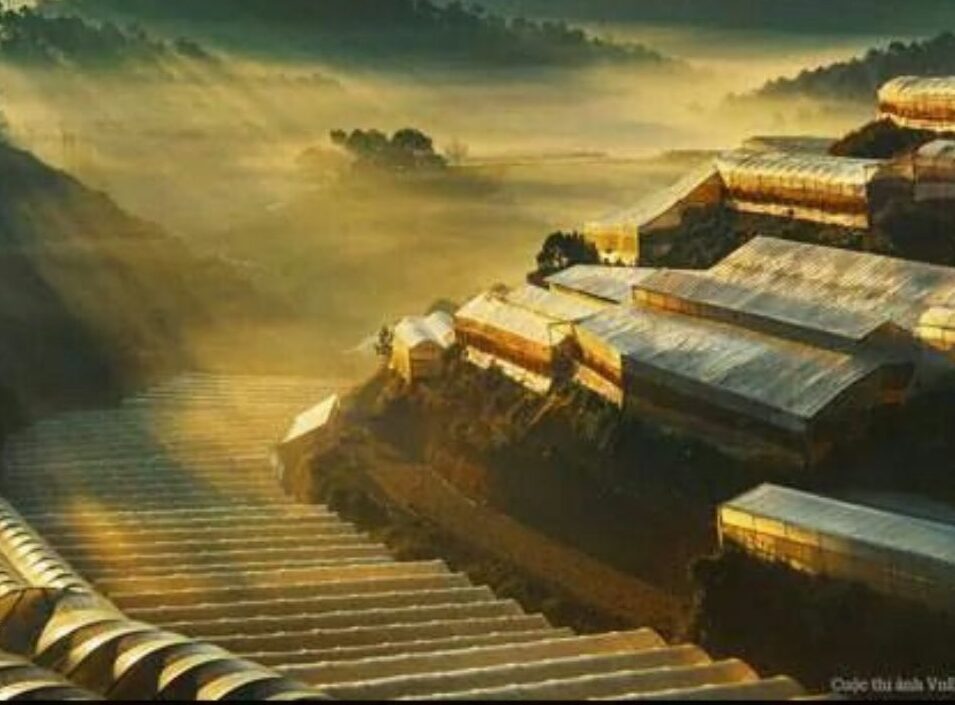 Tin vui tach thua dat Lam Dong quangthinhland.vn 07 e1738664687853