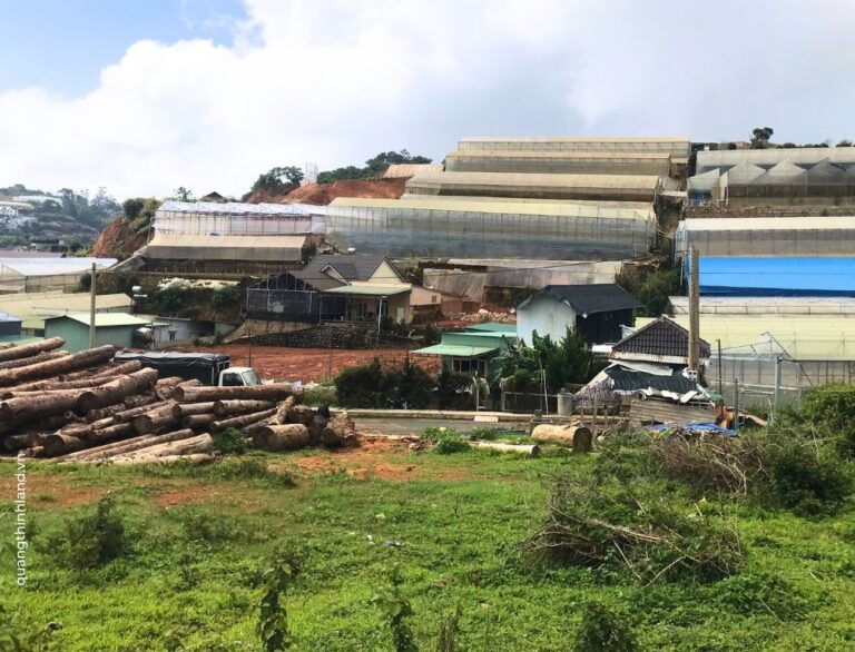 Bán đất, mặt tiền đường Đa Phú, phường 7, thành phố Đà Lạt, 250m2, Bất động sản đầu tư Đà Lạt, Đường ô tô lộ giới 12m đến tận nơi