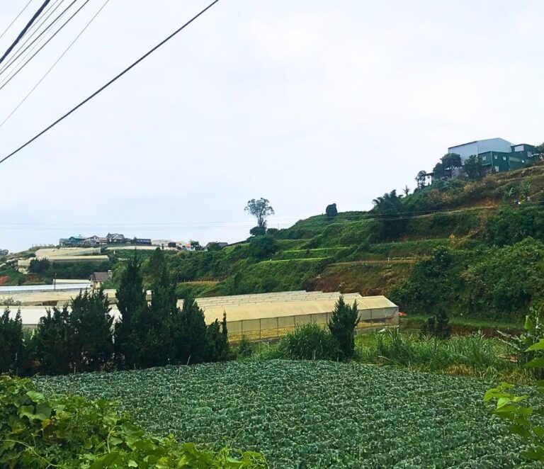 Bán đất, mặt tiền đường Đa Phú, phường 7, thành phố Đà Lạt, 2748m2, Bất động sản đầu tư Đà Lạt, Đường ô tô lộ giới 12m đến tận nơi