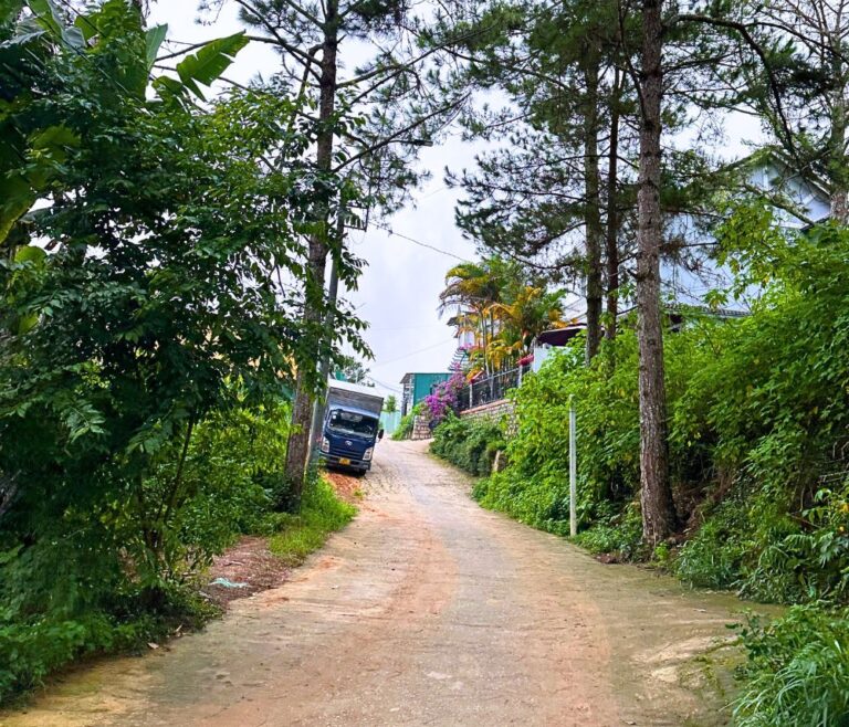 Bán đất, đường Ngô Thì Sỹ, phường 4, thành phố Đà Lạt, 120m2, Bất động sản giá tốt Đà Lạt, Đường ô tô đến tận nơi