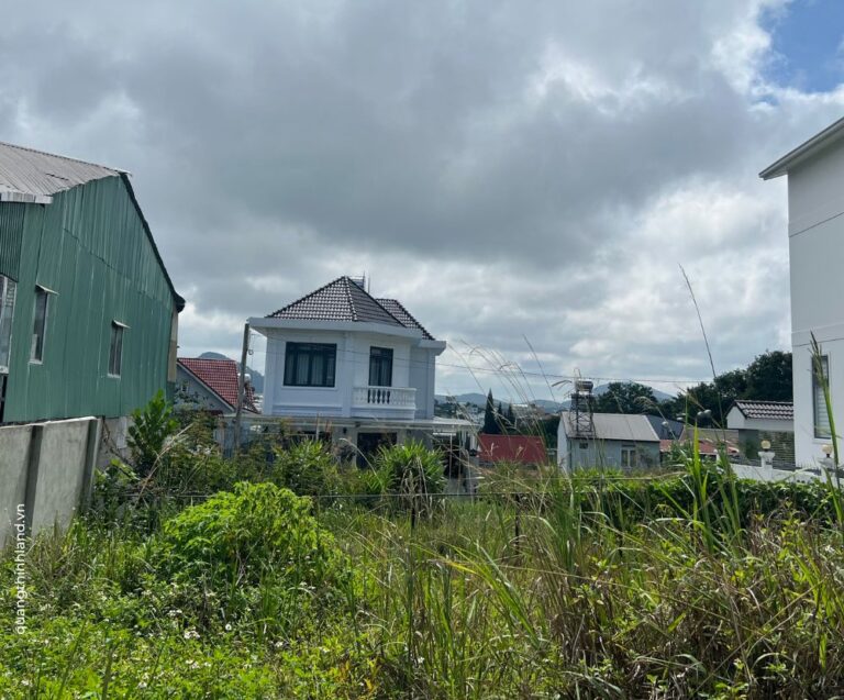 Bán đất, đường Vạn Hạnh, phường 8, thành phố Đà Lạt, 200m2, Bất động sản đầu tư Đà Lạt, Đường ô tô đến tận nơi