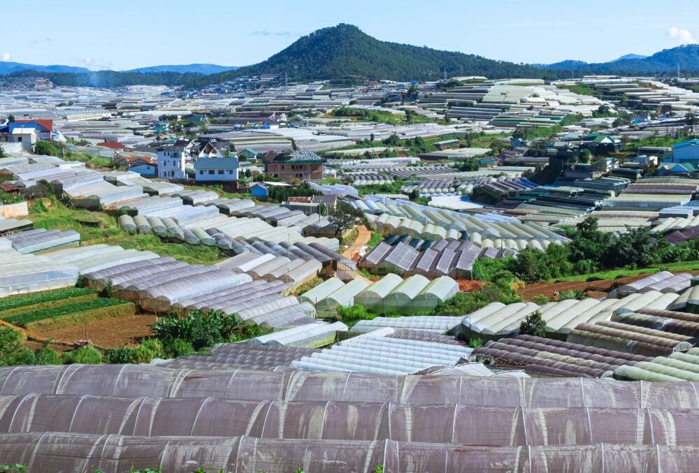 Phat trien nha Da Lat quangthinhland.vn 04 e1738662918279