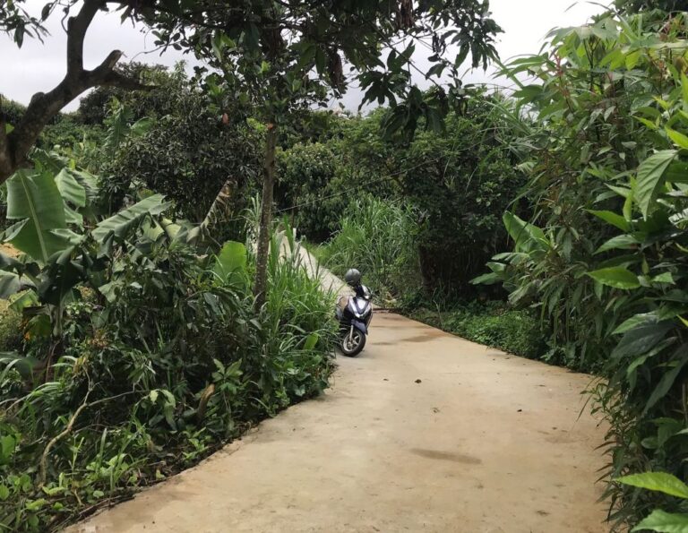 Bán đất, xã Gia Lâm, huyện Lâm Hà, tỉnh Lâm Đồng, 3266m2, Đất nền nghỉ dưỡng Đà Lạt, View rừng thông, Đường ô tô lộ giới 3,5m