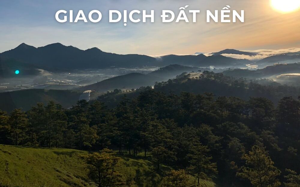 1412 giao dich BDS T7 2023 quangthinhland.vn 02 e1737623728229