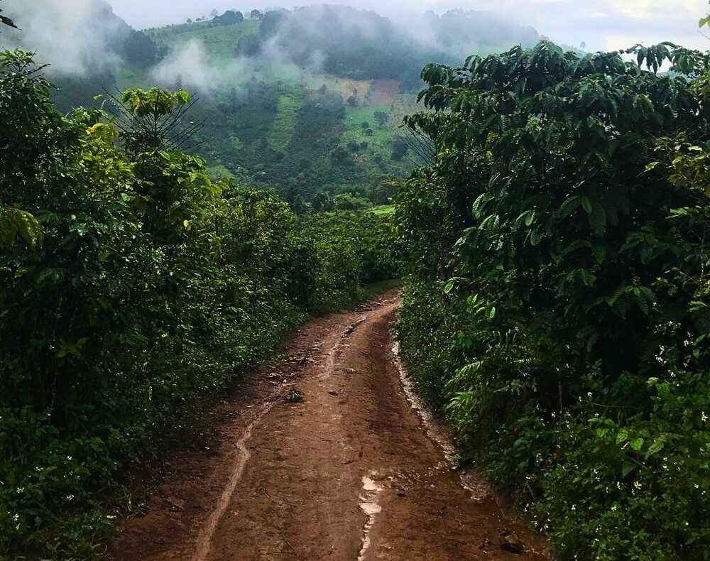 Bán đất xã Tà Nung thành phố Đà Lạt 3000m2