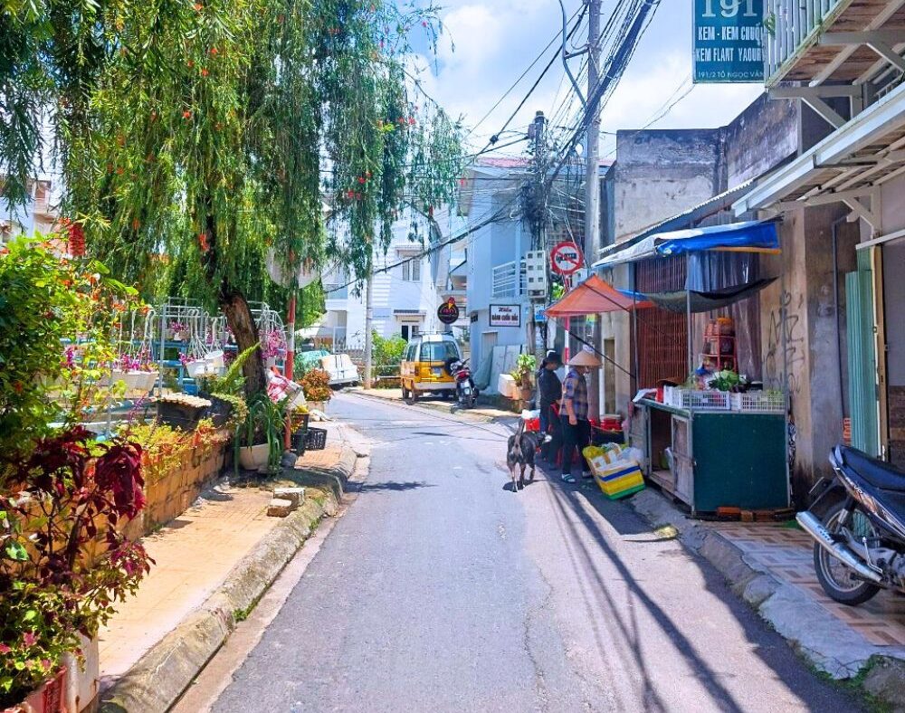 ancgroup.vn Bán nhà 47m2 đường Phan Đình Phùng, Phường 2, Thành phố Đà Lạt