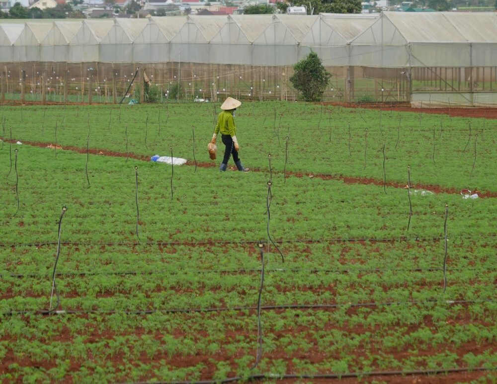 LƯỢNG GIAO DỊCH BẤT ĐỘNG SẢN TẠI LÂM ĐỒNG TĂNG CAO TRONG QUÝ 2/2023 2 Luong GDBDS quy II quangthinhland.vn 02 e1738654098193