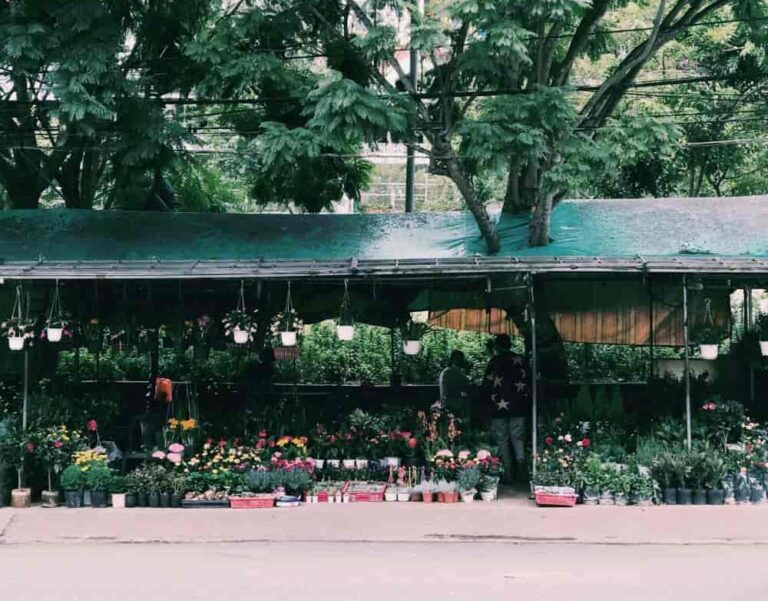 BẤT ĐỘNG SẢN LÂM ĐỒNG HƯỚNG ĐẾN THỊ TRƯỜNG PHÁT TRIỂN BỀN VỮNG, ỔN ĐỊNH